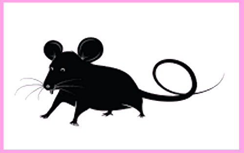 Трафареты Крысы-Мыши.